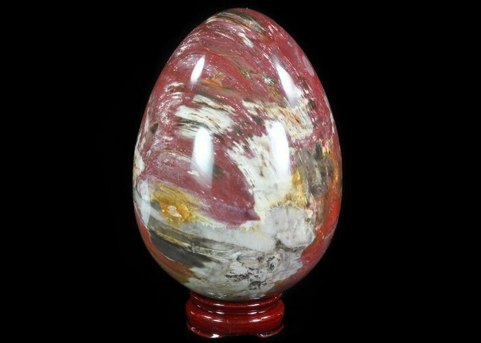 Polished Petrified Wood Egg - Red & Purple Hues #51693